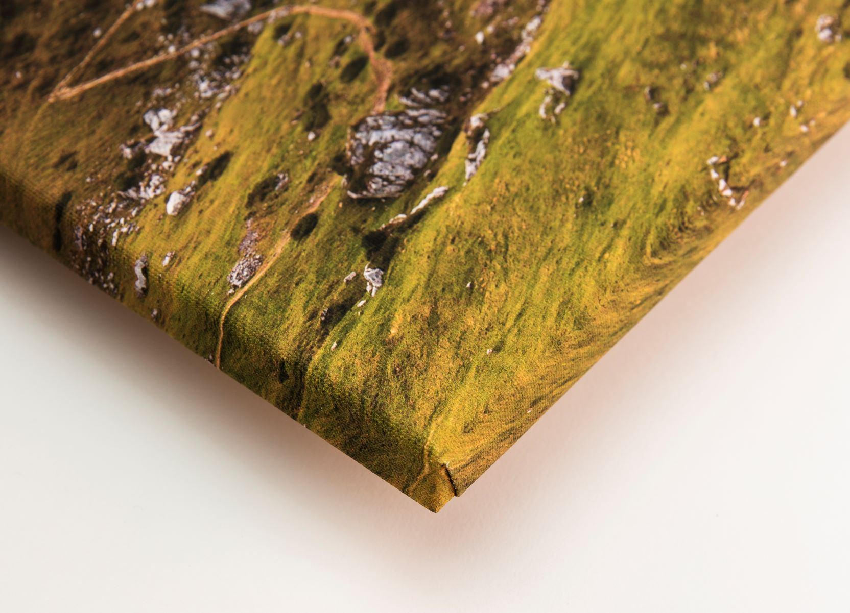 Print On Demand Canvas Peecho